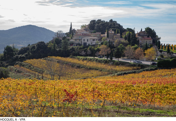 Suzette-Alain-Hocquel--9014.jpg-800px