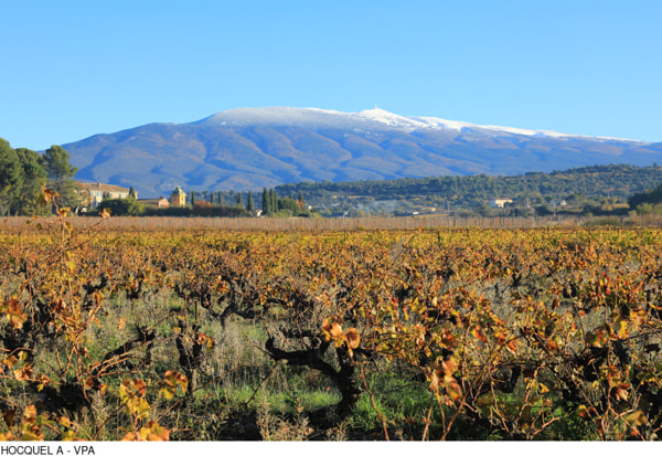 ventoux-automne-Alain-Hocquel-8903.jpg-800px